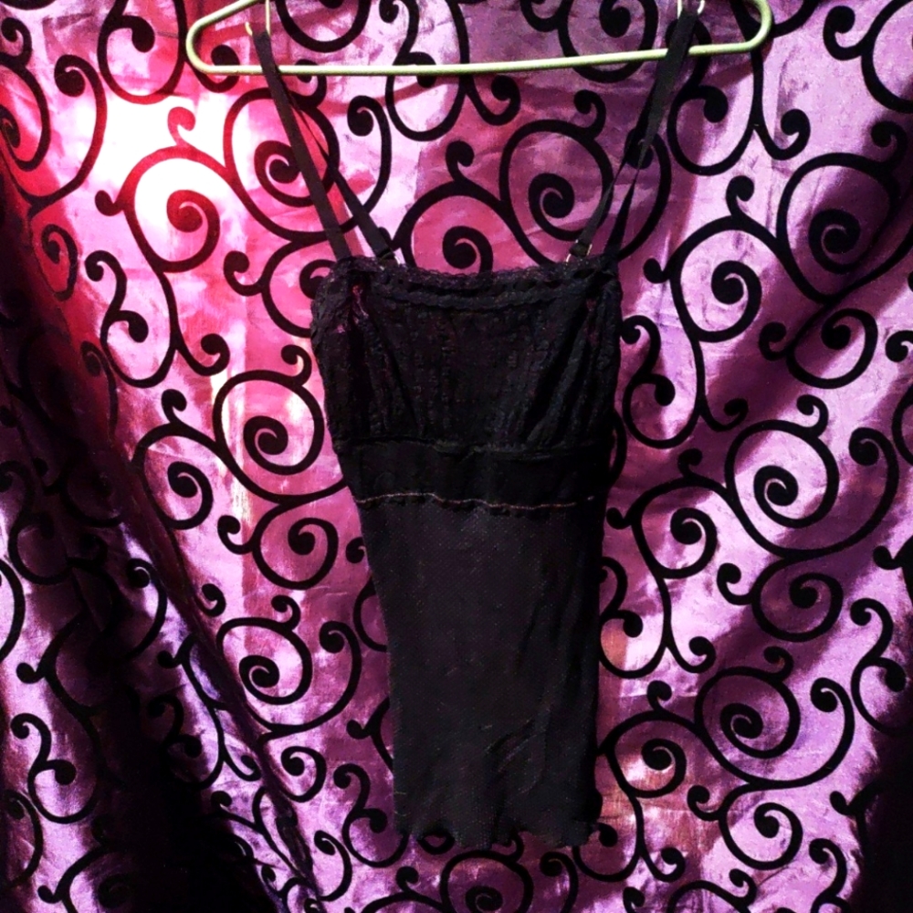 Free People Sheer Lace Bust Cami Top